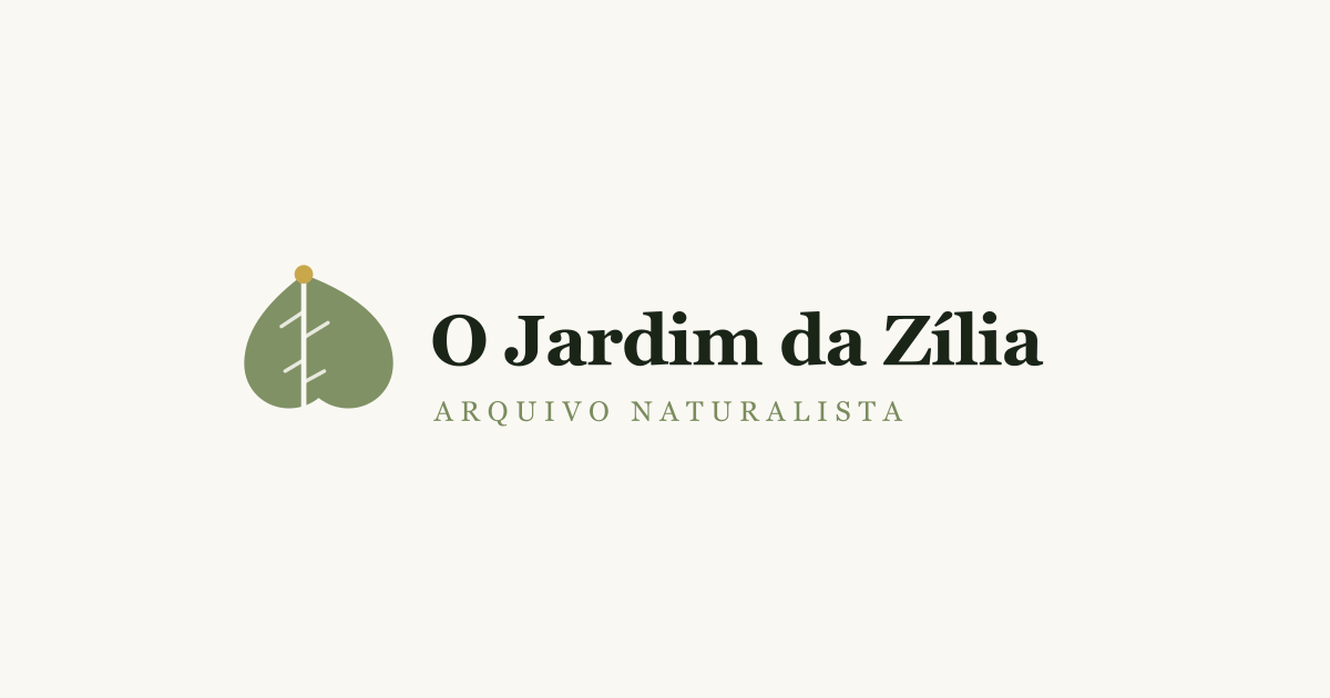 O Jardim da Zília — Fotografia naturalista